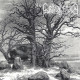 Graveland - The Celtic Winter CD