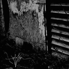 Isolation - Isolation CD