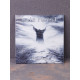 Hate Forest - The Gates MCD Digisleeve