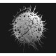 Sulphur Aeon - The Scythe Of Cosmic Chaos CD Digi