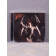 Lucifer's Child - The Wiccan CD