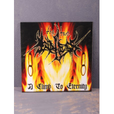 The True Endless - A Climb To Eternity LP (Black Vinyl)