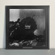 Autumn Nostalgie / Haenesy - Awaking Mechanon LP (Grey / Black Splatter Vinyl)