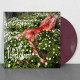 Lifelover - Pulver LP (Mint Green / Red Marble Vinyl)