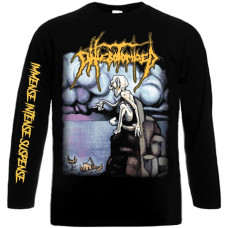 Лонгслів Phlebotomized - Immense Intense Suspense