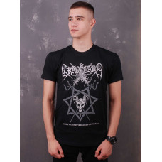 Футболка Graveland - In The Glare Of Burning Churches чорна