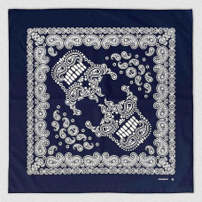 Skull Mask And Paisley Bandana Blue