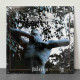 Autumn Nostalgie - Metanoia LP (Gatefold Transparent Light Blue Vinyl)