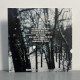 Astrofaes - The Eyes Of The Beast LP (Gatefold Black Vinyl)