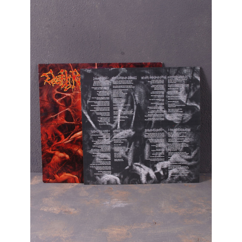 Death Reality - Flesh Still Feeds LP (Black Vinyl)