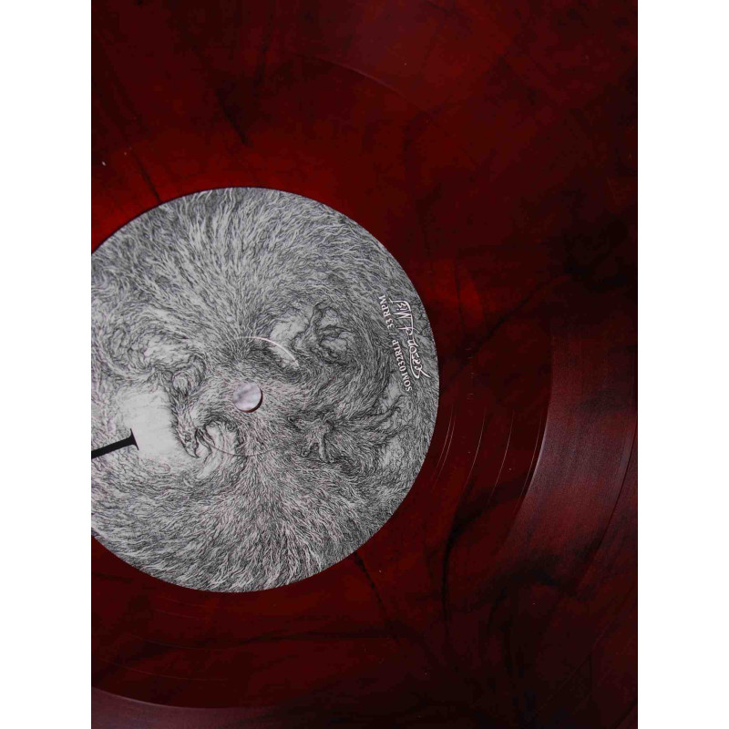 Destroyer 666 - Phoenix Rising LP (Gatefold Red / Black Vinyl)