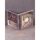 Devastation - Idolatry CD (CM)