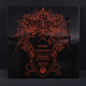 Druadan Forest - Dismal Spells From The Dragonrealm 2LP (Gatefold Brown / Black Swirl Vinyl)