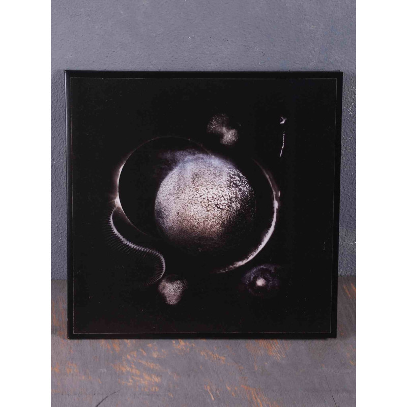 Enthroned - Cold Black Suns LP (Gatefold Transparent Red Vinyl)