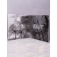 Forest - Forest 2LP (Gatefold Black Vinyl)