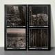 Hate Forest - The Most Ancient Ones LP (Black/White Swirl Vinyl)