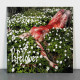 Lifelover - Pulver LP (Mint-Green With Red Splatter Vinyl)