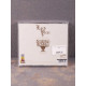 Lord Vicar / Funeral Circle - Lord Vicar / Funeral Circle MCD