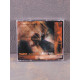 Lux Occulta - The Mother And The Enemy CD (Irond)