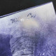 Nokturnal Mortum - До лунарної поезії (To Lunar Poetry) CD Digibook