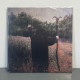 Nokturnal Mortum - Goat Horns 2LP (Gatefold Swamp Green/Yellow Galaxy & Sea Blue/Orange Galaxy)