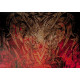 Nove Kolo - Ragnard Reborn Magnet