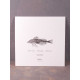 Organ: - Everything Is Pared Down. Minimal Expectations LP (White Vinyl)