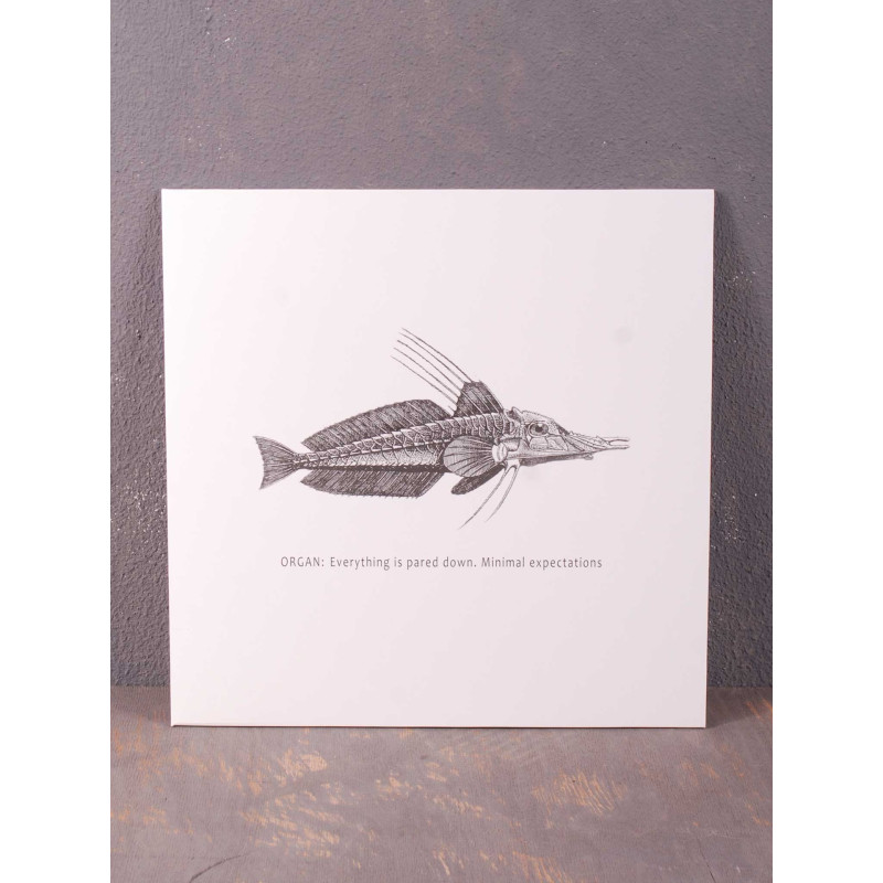 Organ: - Everything Is Pared Down. Minimal Expectations LP (White Vinyl)
