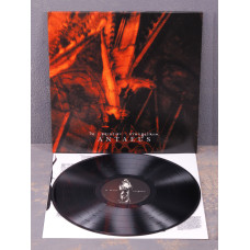 Antaeus - De Principii Evangelikum LP (Black Vinyl)