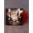Beyond Creation - Earthborn Evolution 2LP (Gatefold Transparent Red Vinyl)