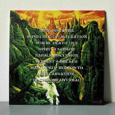 Carnation - Where Death Lies LP (Red, White & Black Marbled Vinyl)