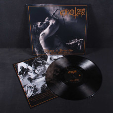 Chotza - Plump U Primitiv (10 Jahre Furchtbar) LP (Clear / Black Marbled Vinyl)