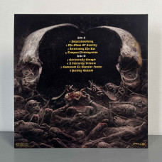 Defeated Sanity - Chronicles Of Lunacy LP (Gatefold Black Vinyl)