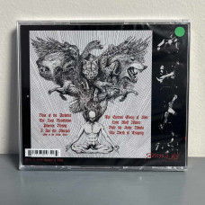 Destroyer 666 - Phoenix Rising CD
