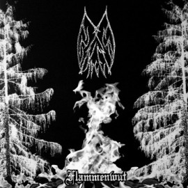 ENSOM SKOGEN / FORGOTTEN SPELL / MOONBLOOD - Flammenwut / Aesthetics Of The Necromantic Manifestation / The Unholy CD