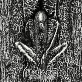 ILDJARN - Forest Poetry CD