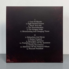 Impaled Nazarene - Eight Headed Serpent LP (Gatefold White/Black Marble Vinyl) (Slipcase Edition)