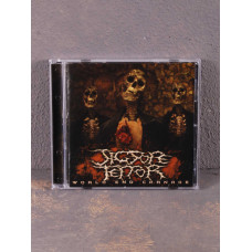Jigsore Terror - World End Carnage CD (CD-Maximum)