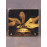 Mortuary Drape - Spiritual Independence CD