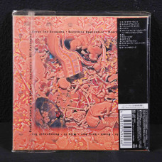 Nirvana - In Utero CD Cardboard Sleeve (JPN)