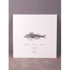 Organ: - Everything Is Pared Down. Minimal Expectations LP (White Vinyl)