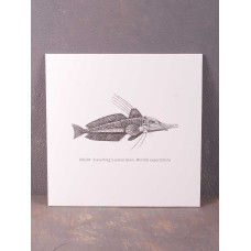 Organ: - Everything Is Pared Down. Minimal Expectations LP (White Vinyl)