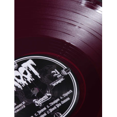 Root - Zjeveni LP (Gatefold Violet Vinyl)