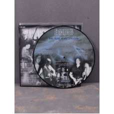 Shadowbreed - The Light Of The Shadow LP (Picture Disc)