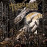 TERRORIZER - Hordes Of Zombies LP (Gatefold Clear Vinyl + 7" Flexi Disc)