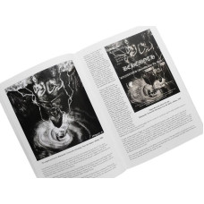 Owls, Trolls & Dead King's Skulls: The Art Of David Thierree Book