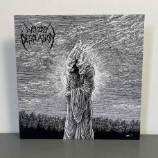 Woods Of Desolation - Toward The Depths LP (Gatefold Clear And White Marbled Vinyl)