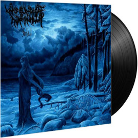 Woods Of Infinity - Forlat LP (Black Vinyl)