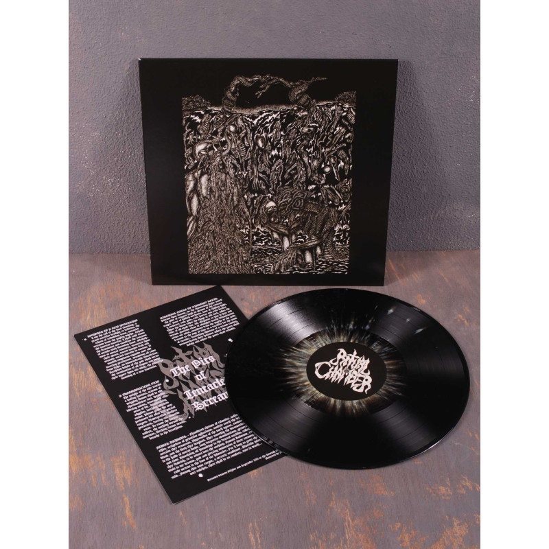 Ritual Chamber - The Pits Of Tentacled Screams LP (Splatter Vinyl)