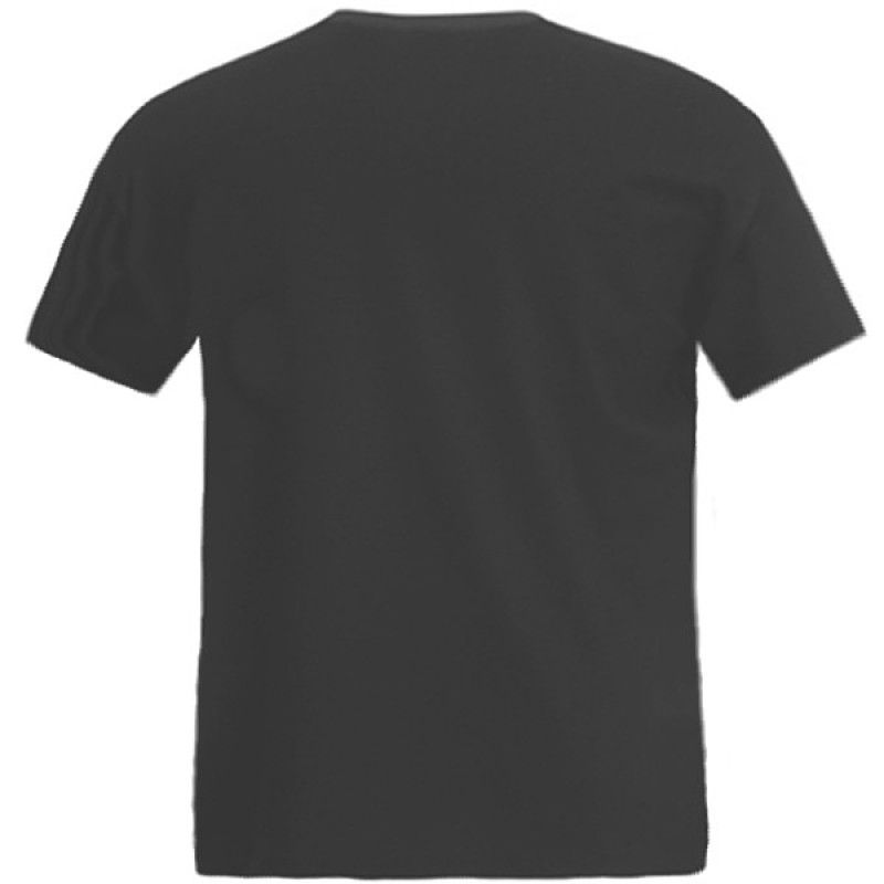 Solstafir - Vintage Logo Grey T-Shirt